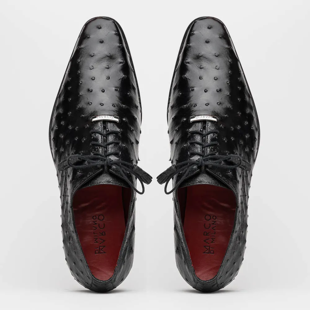 Criss Black