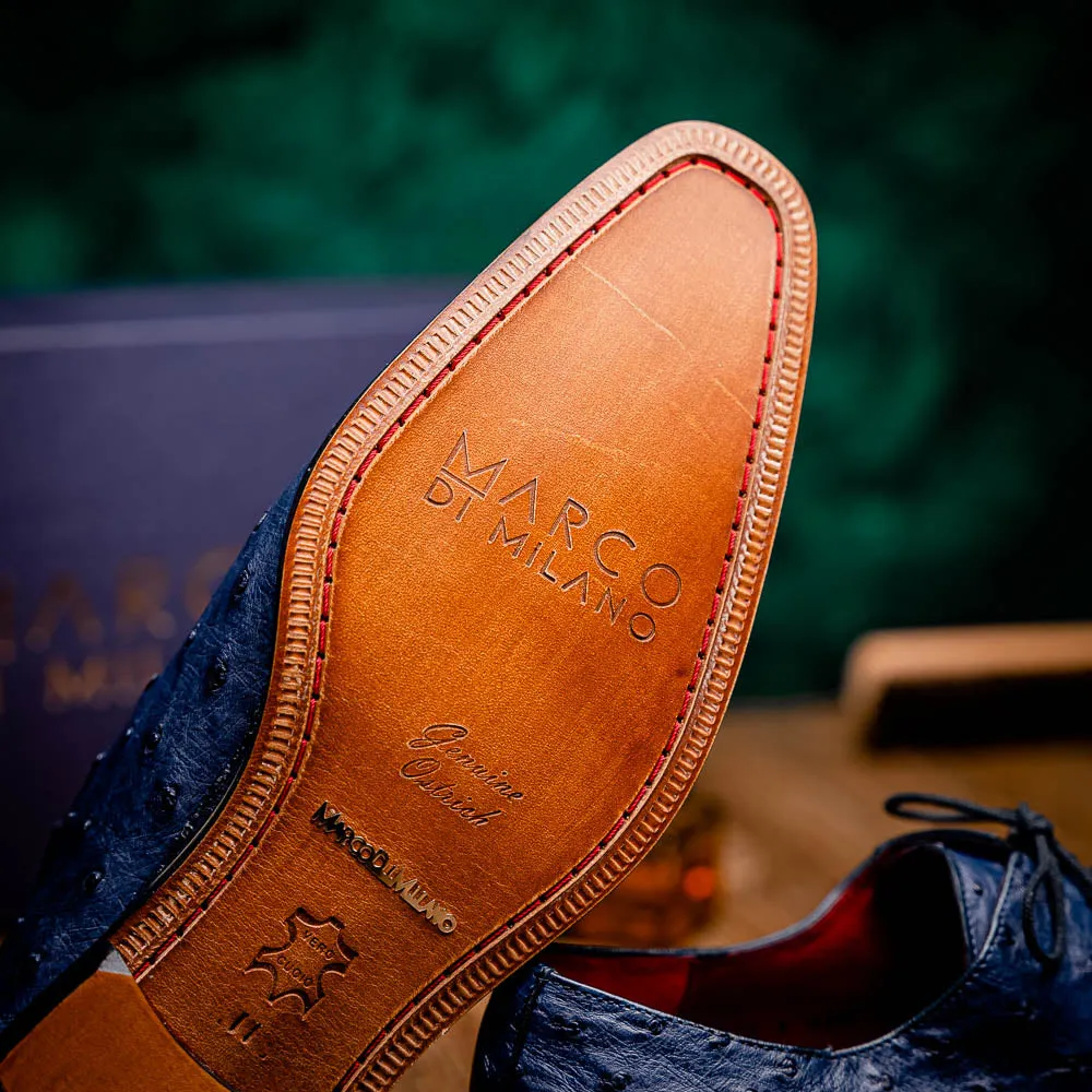 Criss Navy
