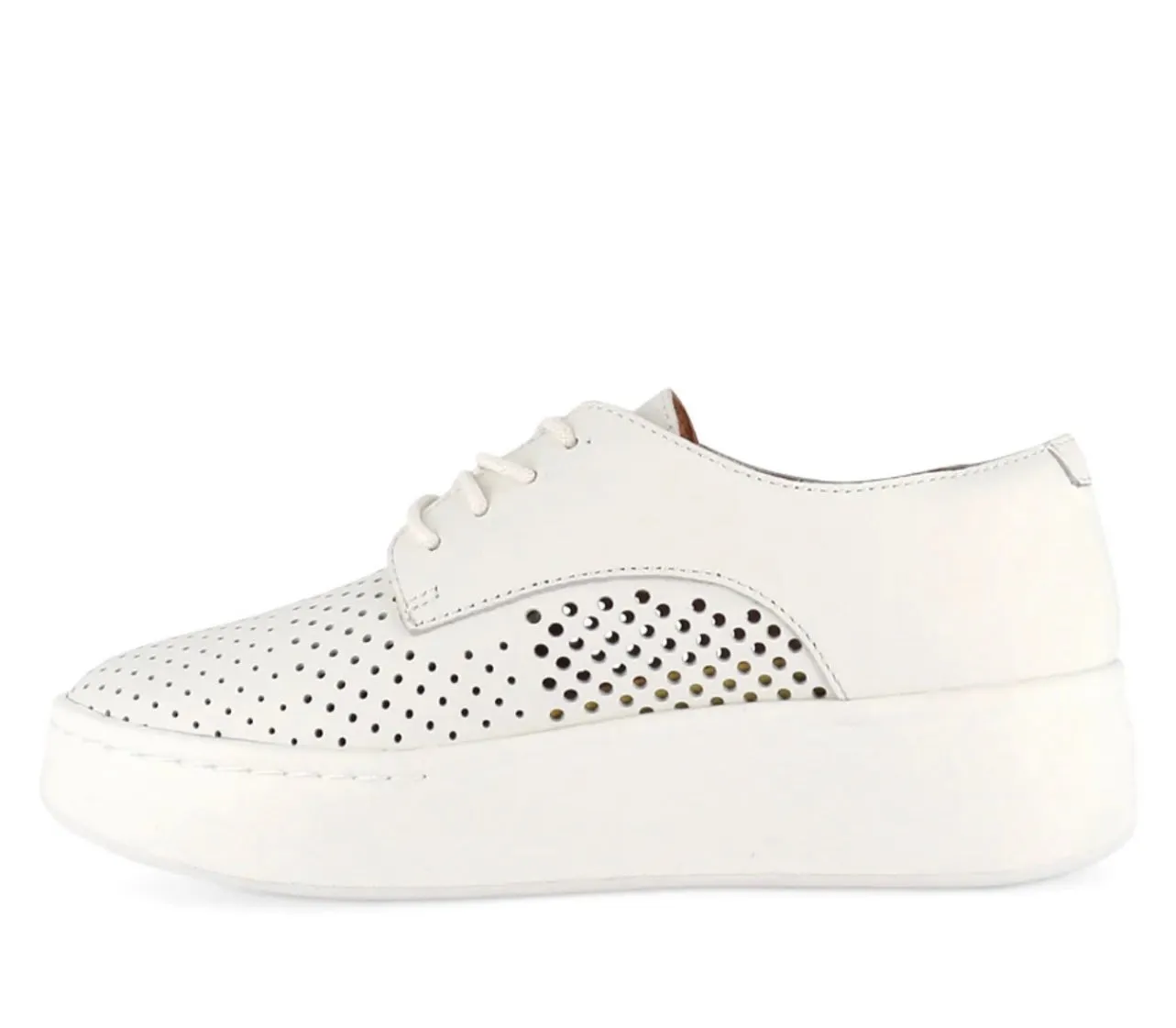 Derby City ~ Punch White