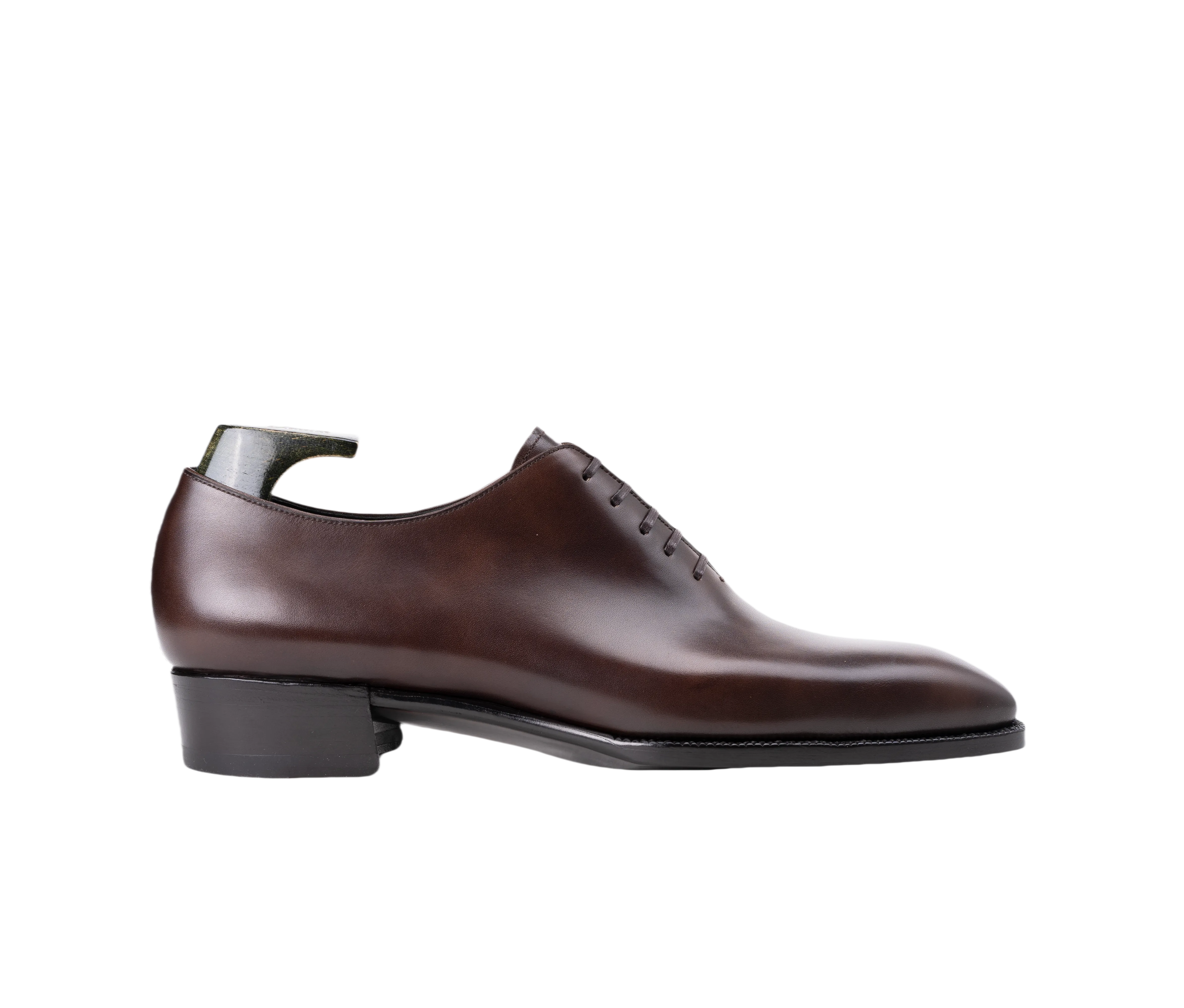 OXF. N519