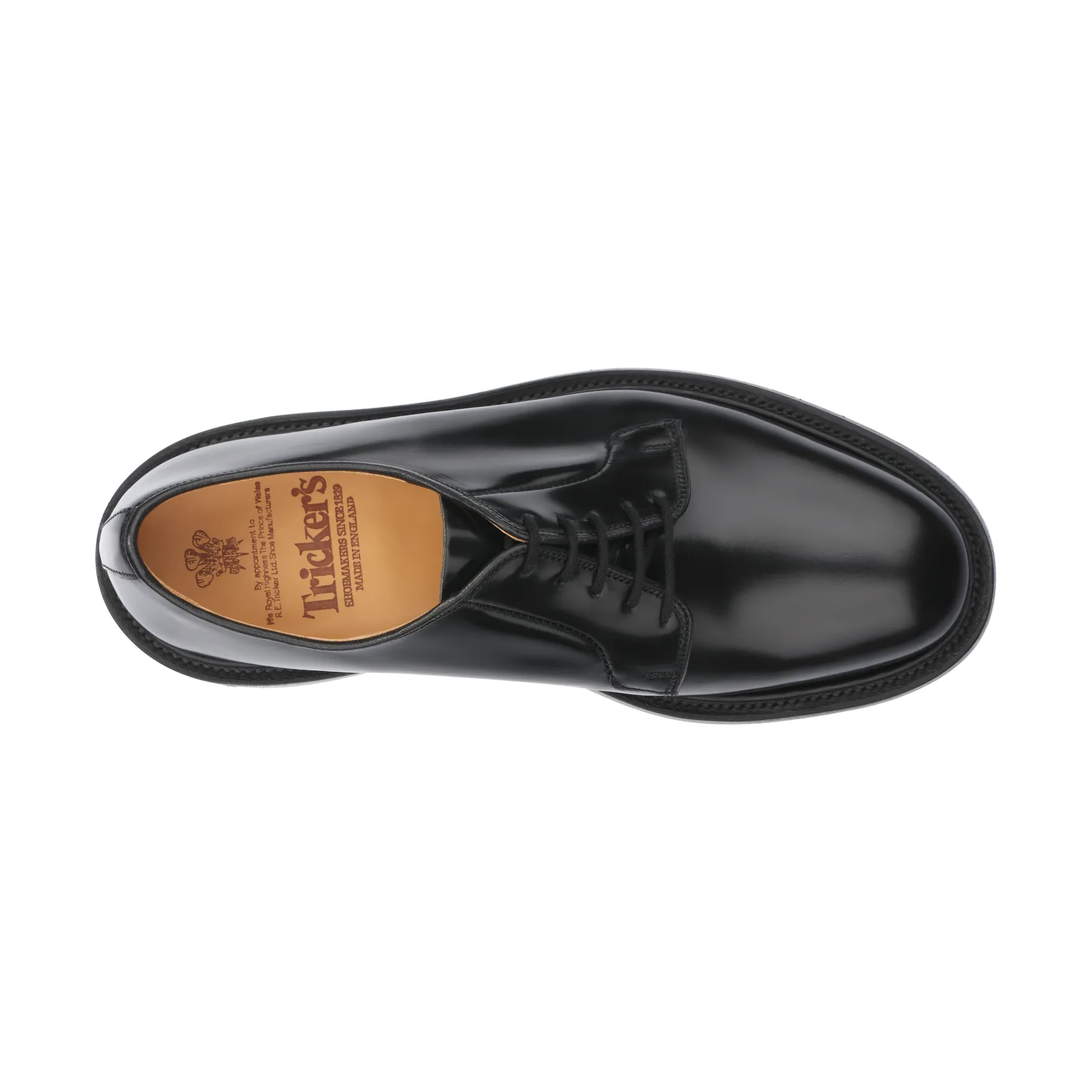 "Robert" Plain Derby Leather Shoes in Black