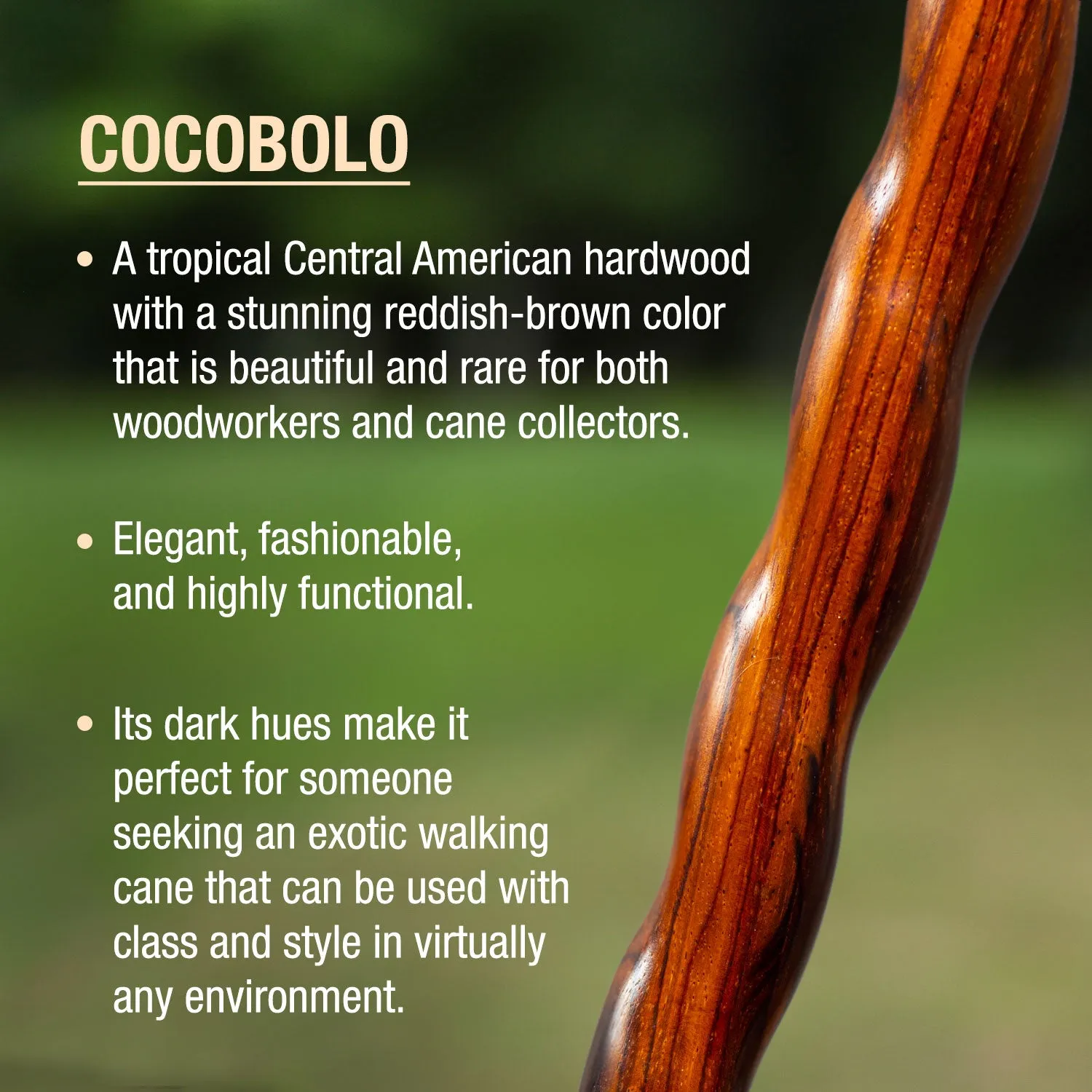 Twisted Cocobolo Derby Handcrafted Walking Cane 37"